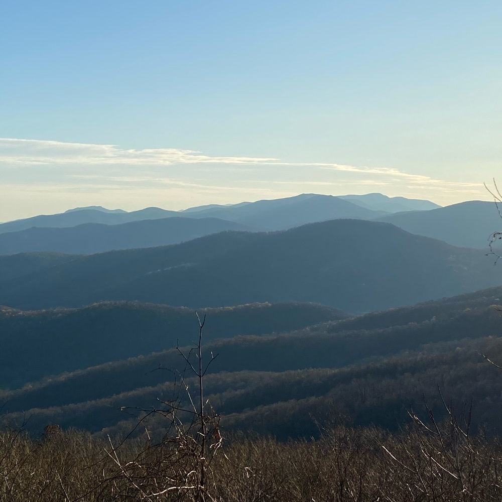 Meet your Posher, Cheyann